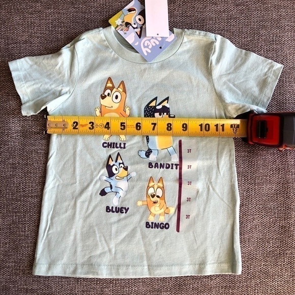 MOOSE Toddler Boy Girl Bluey Printed Short Sleeve T-Shirt Green 3T - Picture 6 of 7